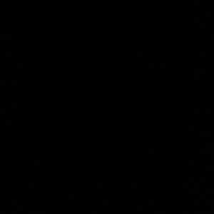 Meet your Posher, Des